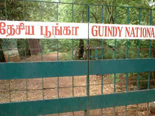 கிண்டி சிறுவர் பூங்கா