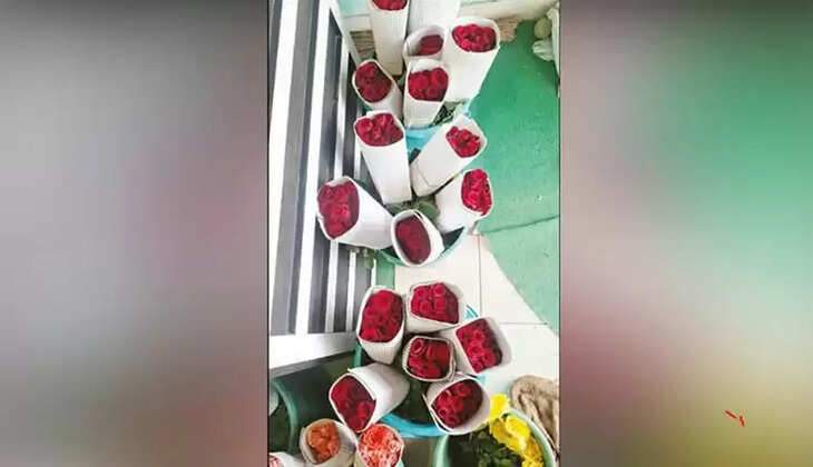 காதலர் தினம் ரோஜா ஸ்டெம்பு ரோஸ்