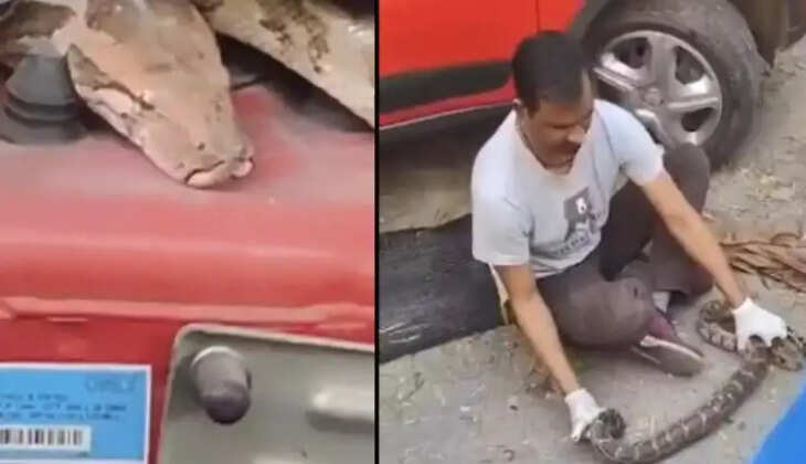 காரில் மலைப்பாம்பு