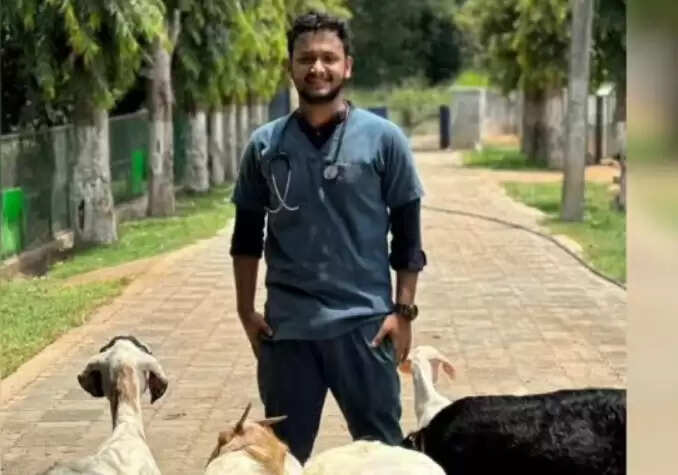 நாய் மேட்ரிமோனி