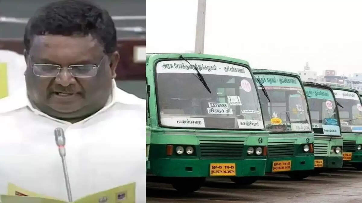 சிறப்பு பேருந்துகள்