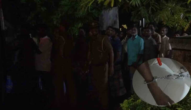 விலங்கு