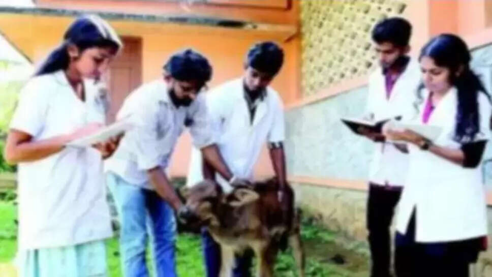 கால்நடை மருத்துவ படிப்பு