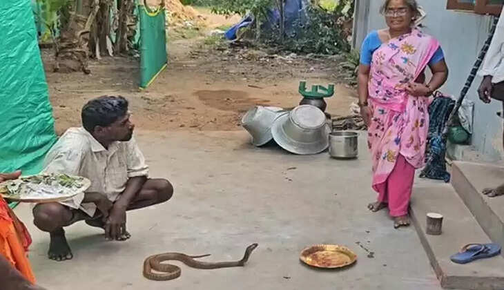 நல்ல பாம்பு