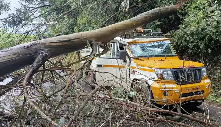 வாகன ஓட்டிகள் கடும் அவதி... ராட்சத மரம் முறிந்து வாகனம் மேல் விழுந்து விபத்து! 