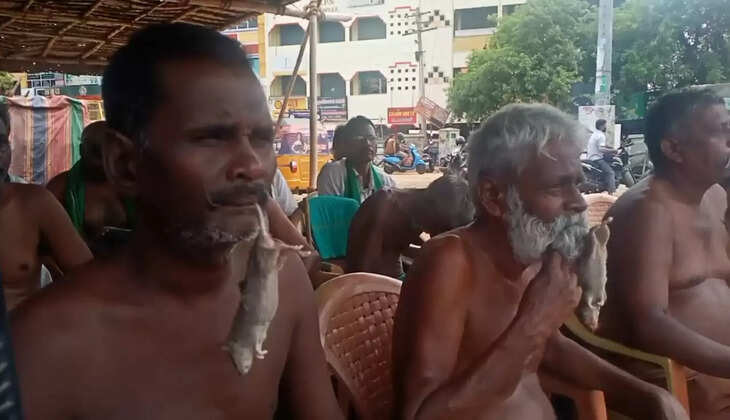 எலி போராட்டம்