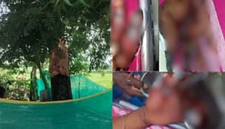 திருவண்ணமலை