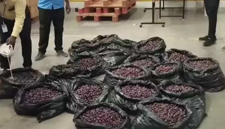 பேரீச்சம் பழம் 