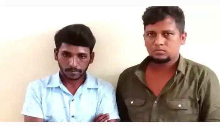 பாலியல்