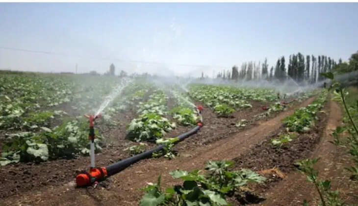 சொட்டு நீர் பாசனம்