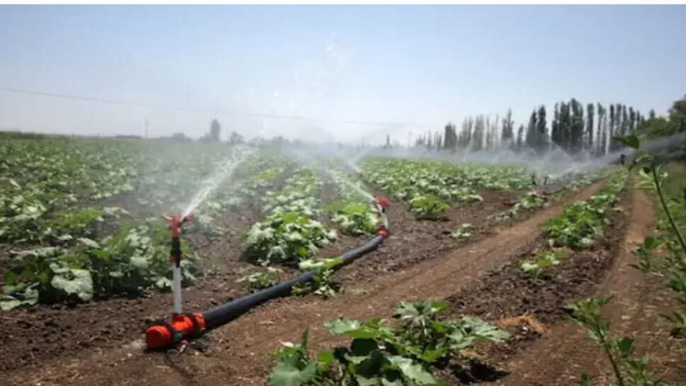 சொட்டு நீர் பாசனம்