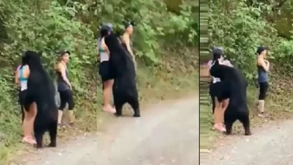 பெண்கள் 