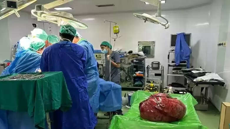 தமிழ்செல்வி