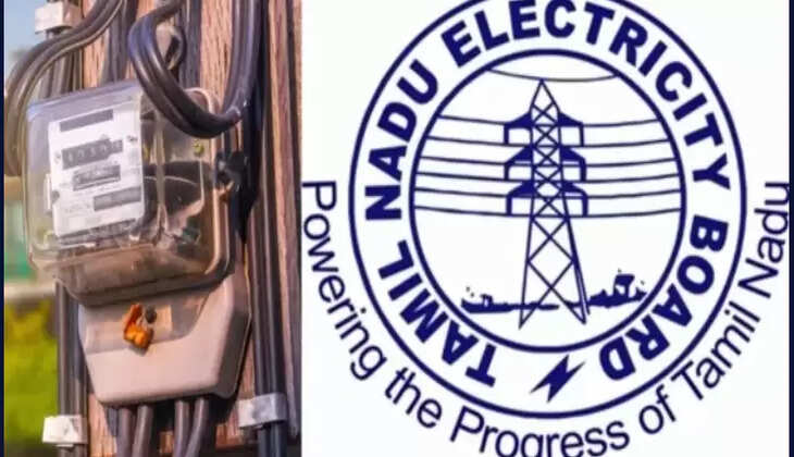 மின்சார வாரியம்