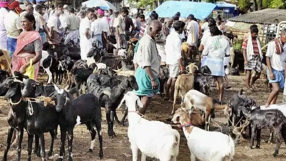 ஆட்டிறைச்சி