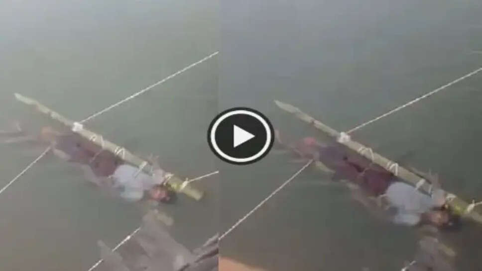 பாம்பு கடி கங்கை