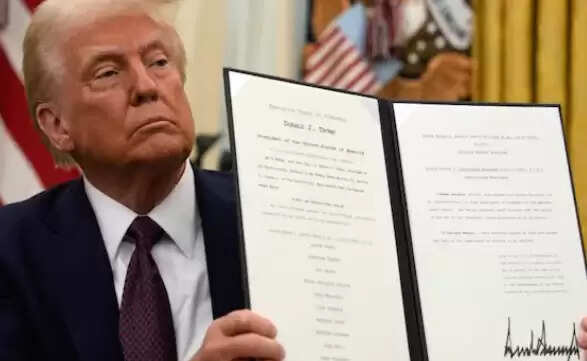 ட்ரம்ப்