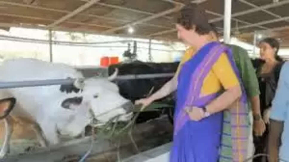 ஆலியா பட்