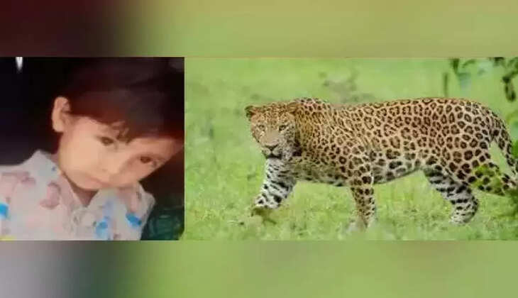 சிறுத்தை