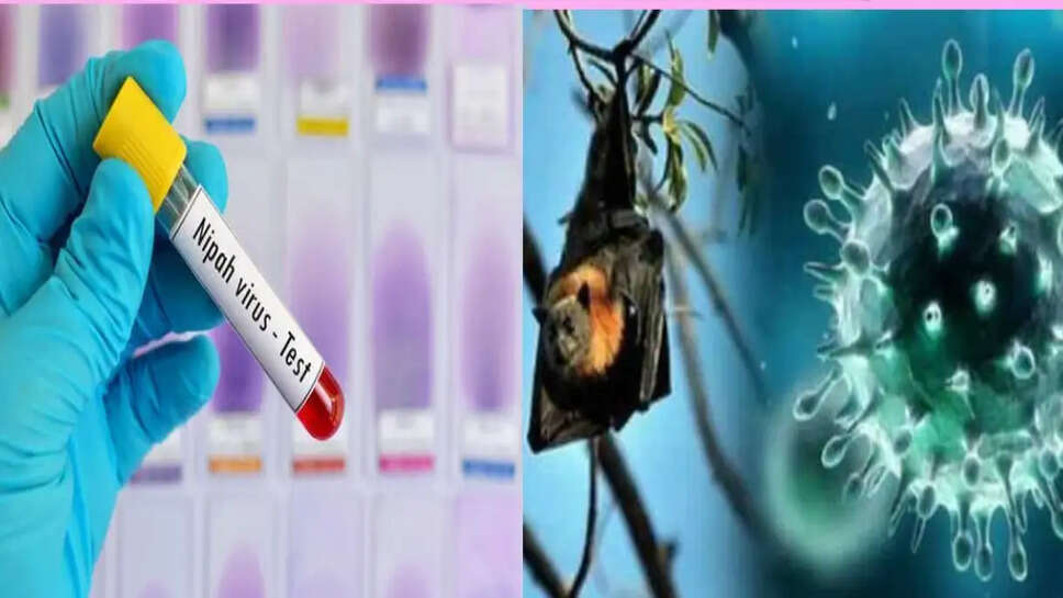 நிஃபா வைரஸ்