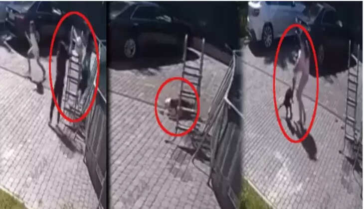 குரங்கு