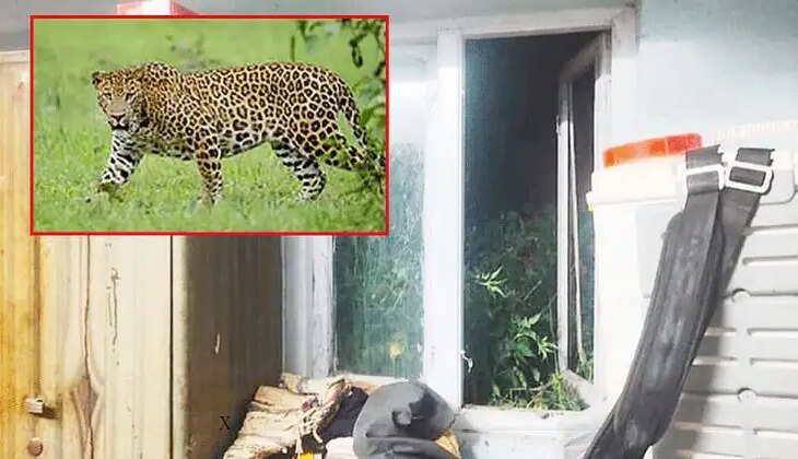 சிறுத்தை