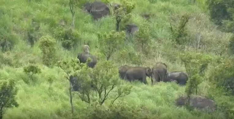 பேரிஜம் ஏரி