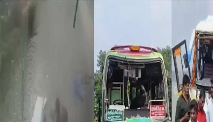 பேருந்து