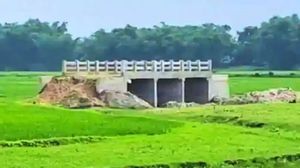 பீகார் பாலம்