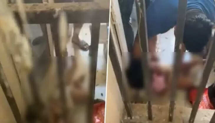 நொய்டா குழந்தை