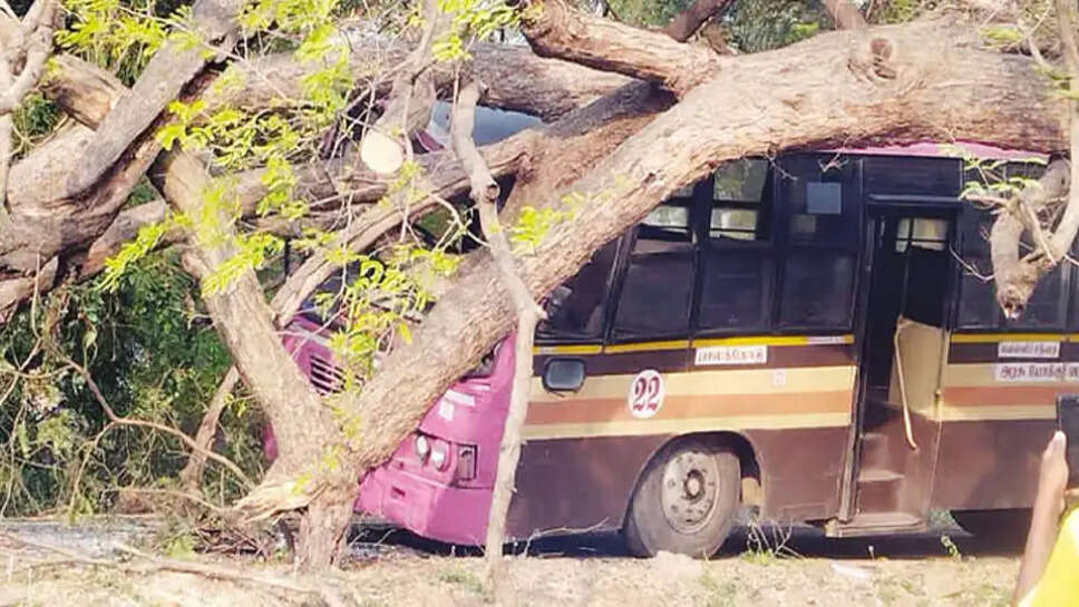 பேருந்து