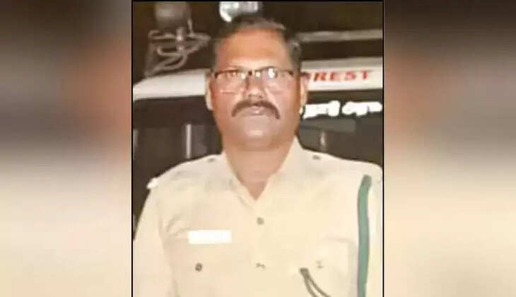 அதிர்ச்சி... காட்டெருமை முட்டியதில் வனக்காப்பாளர் பலி!