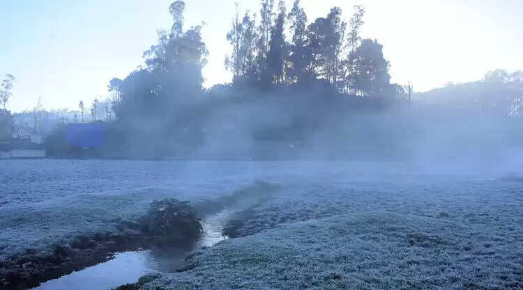 ஊட்டி உறைபனி