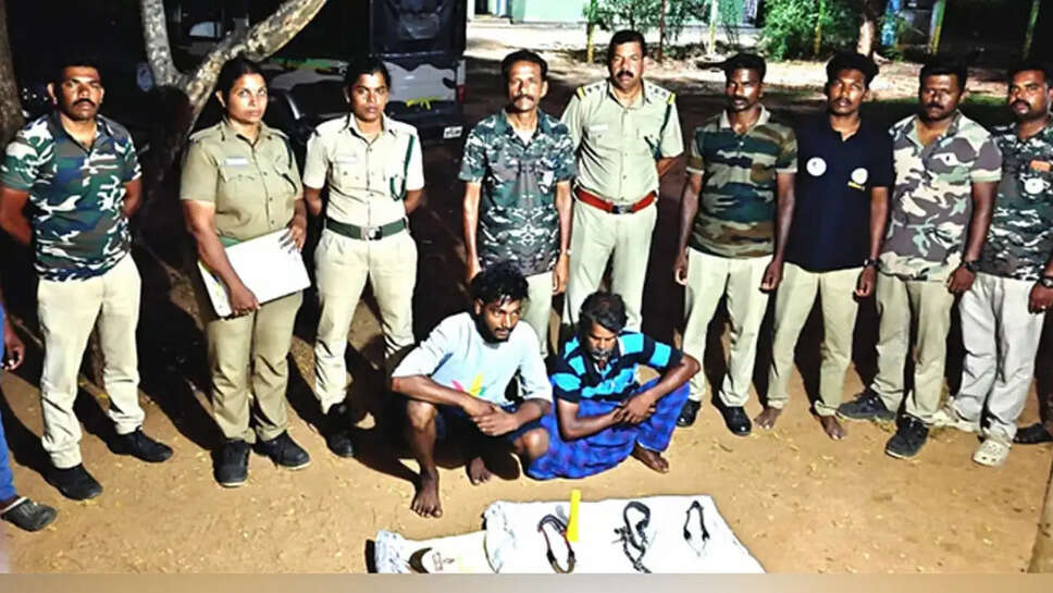 வனவிலங்கு வேட்டை வேட்டையாட 