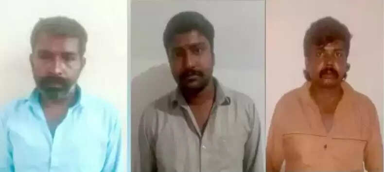 பாலியல்