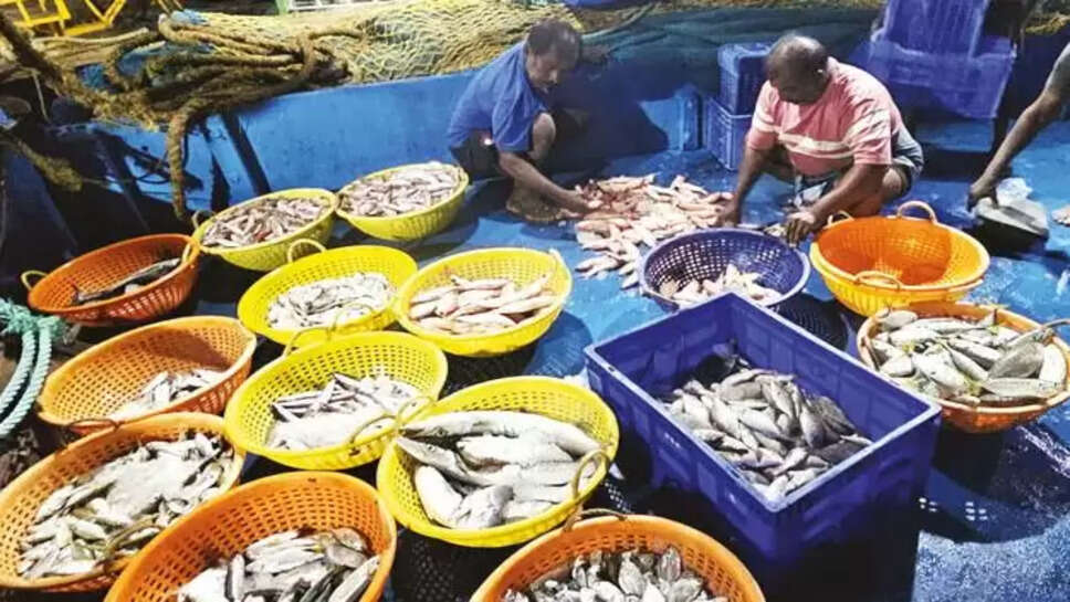 மீன் மீனவர்கள் இறைச்சி