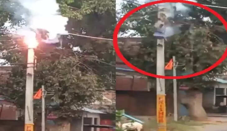 உத்திரப்பிரதேச லைன்மேன் 