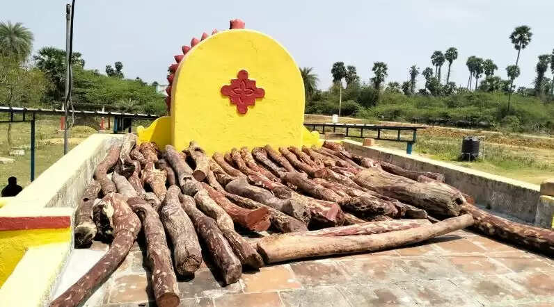 செம்மரம் கடத்தல்