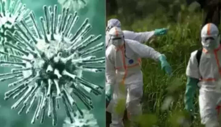 காங்கோ நோய்