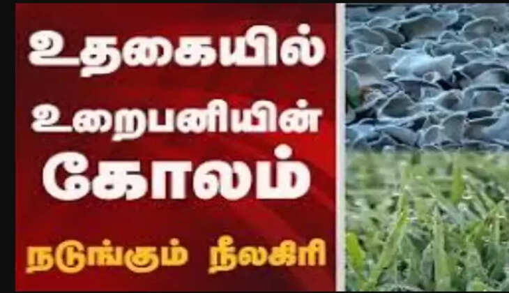 நீலகிரி