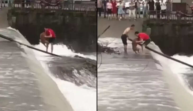 சிக்கிய நாய்