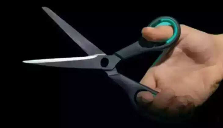 கத்தரிக்கோல்