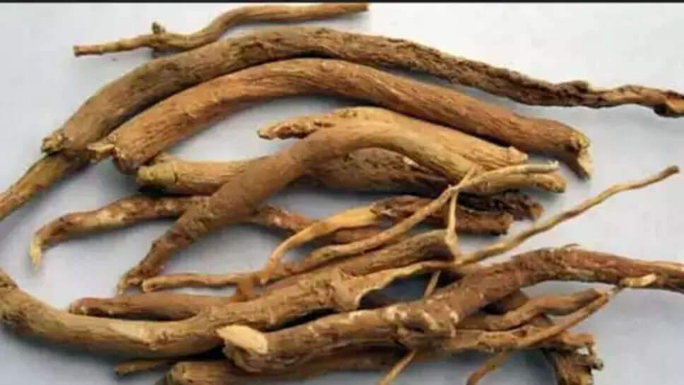 அமுக்கிரா கிழங்கு