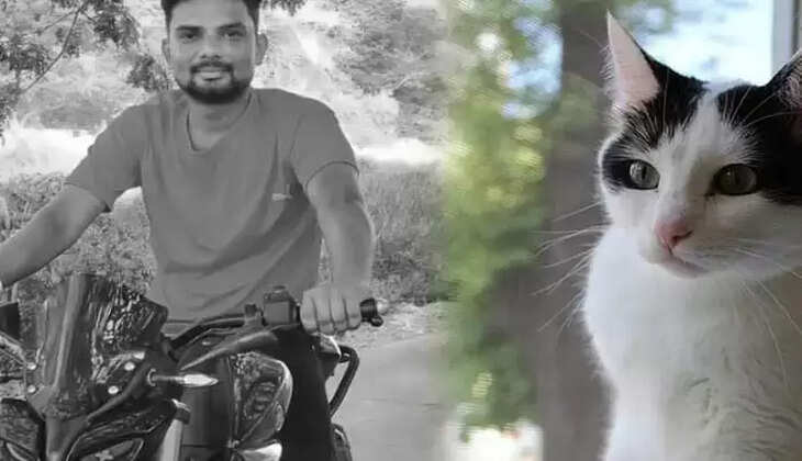 பூனைக்கடிக்கு சிகிச்சை பெற்று வந்த இளைஞர்