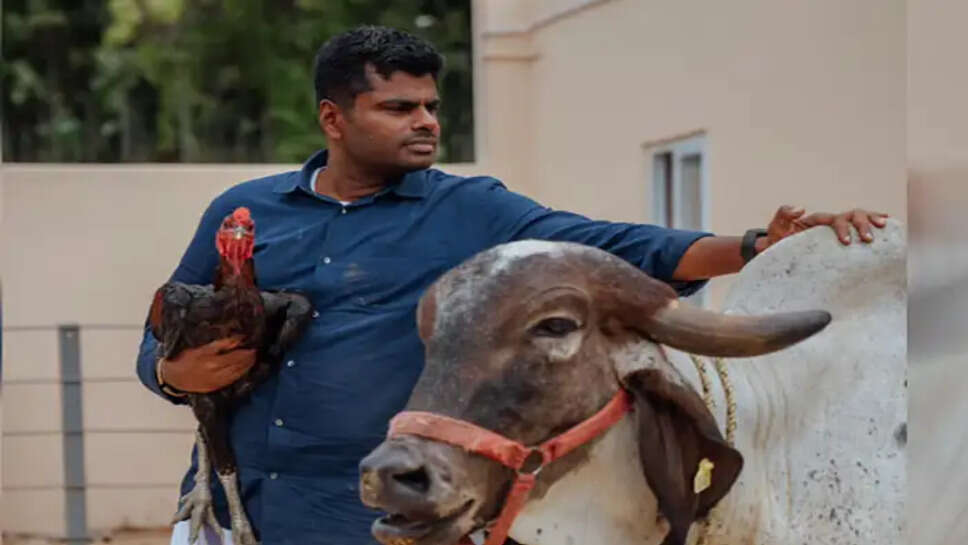 அண்ணாமலை