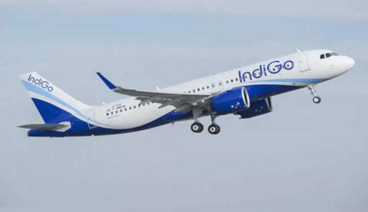 Indigo Flight