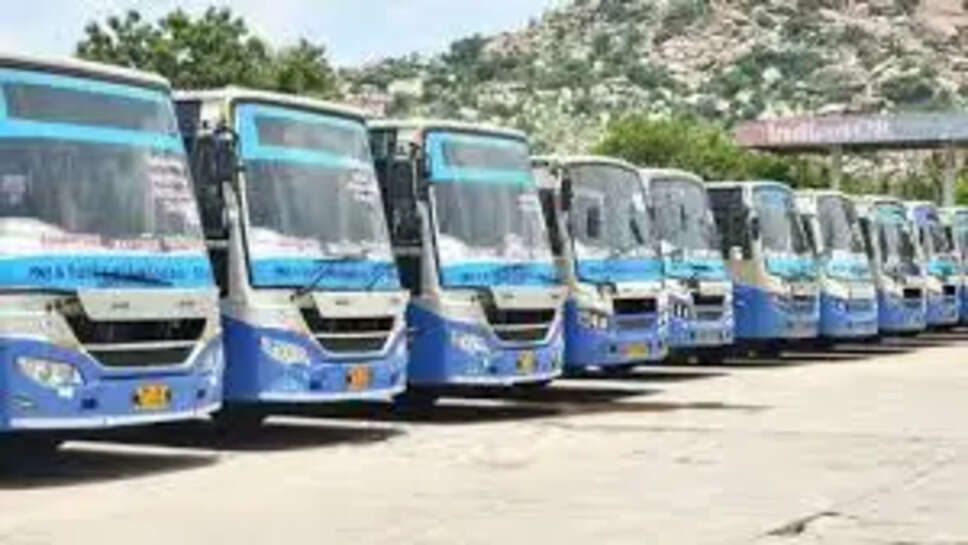 சிறப்பு பேருந்துகள்