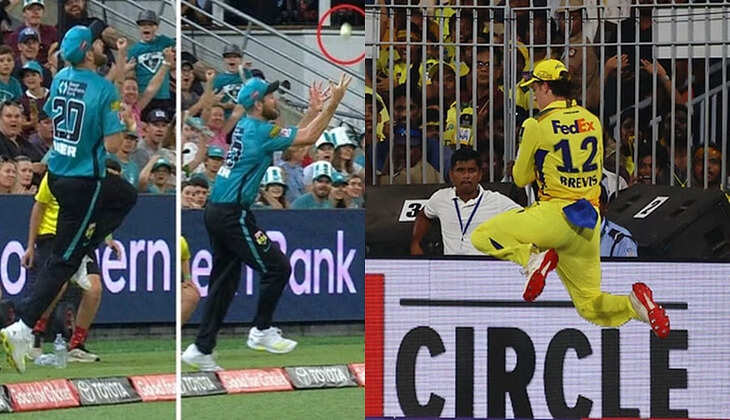 கிரிக்கெட்