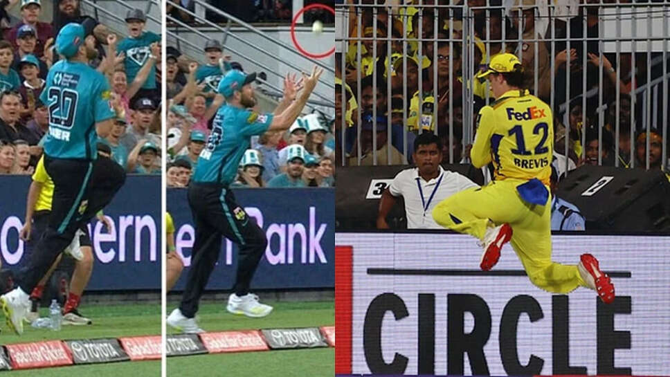 கிரிக்கெட்