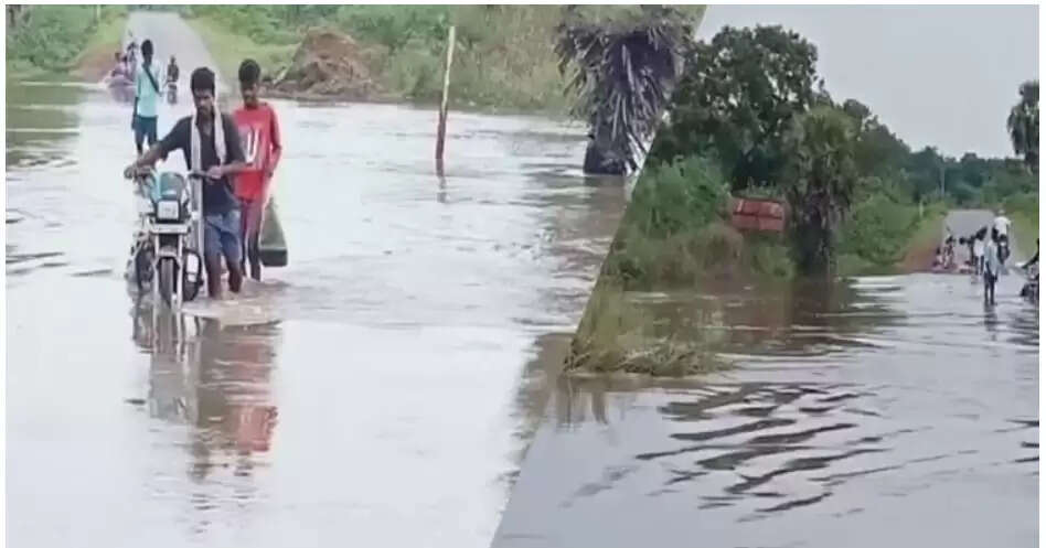 தரைப்பாலங்கள்